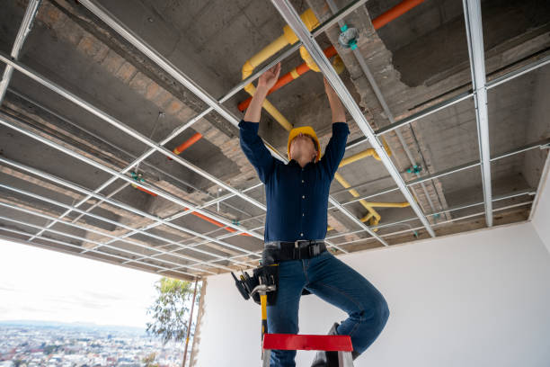 Best Leak Detection Services  in Dayton, MN