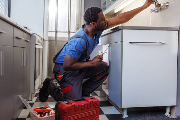 Best Best Plumbers Near Me  in Dayton, MN